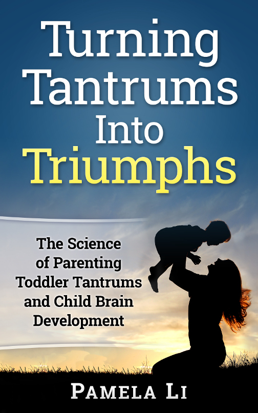 the cover of Turning Tantrums Into Triumphs